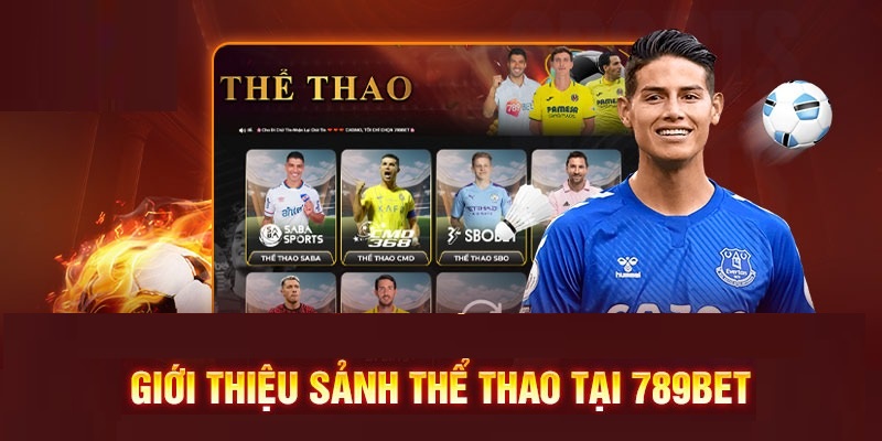 Thể thao 789BET
